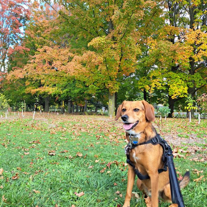 D9ddd48a 21cf 4840 98bf d9e099f4afc6 1760534713630