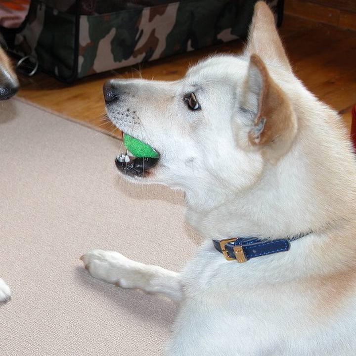 D9dddf00 fa0f 4e9b 96dc 859e7721334f 1508766378632