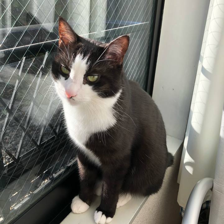 D9de04f5 270e 47c4 a62c a3f90cfc29f6 1515300120638