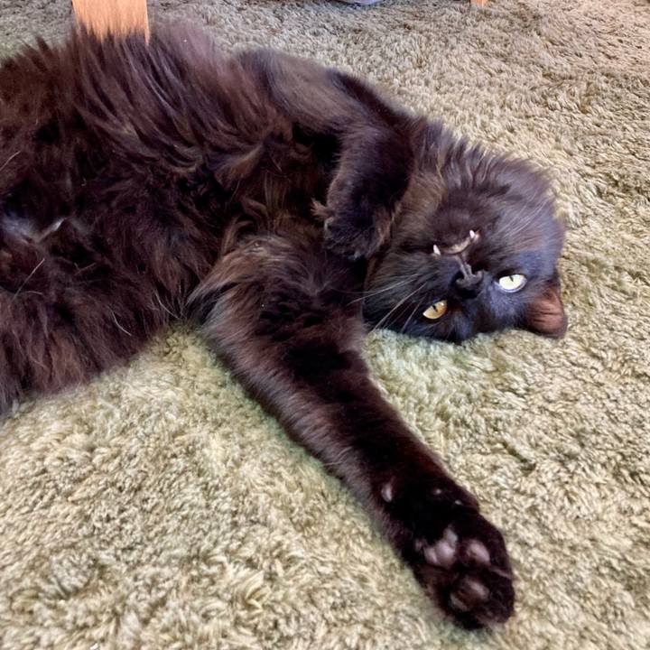 D9de22ee b37b 4c8f 9122 345d3508f1d6 1751634436936