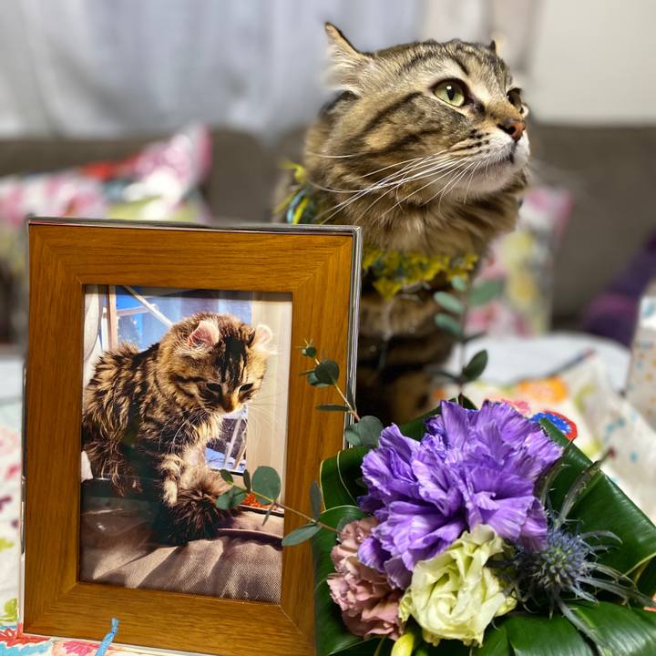 D9de3ba2 ae3e 4b8e aeef 437af0cd6082 1578837922090