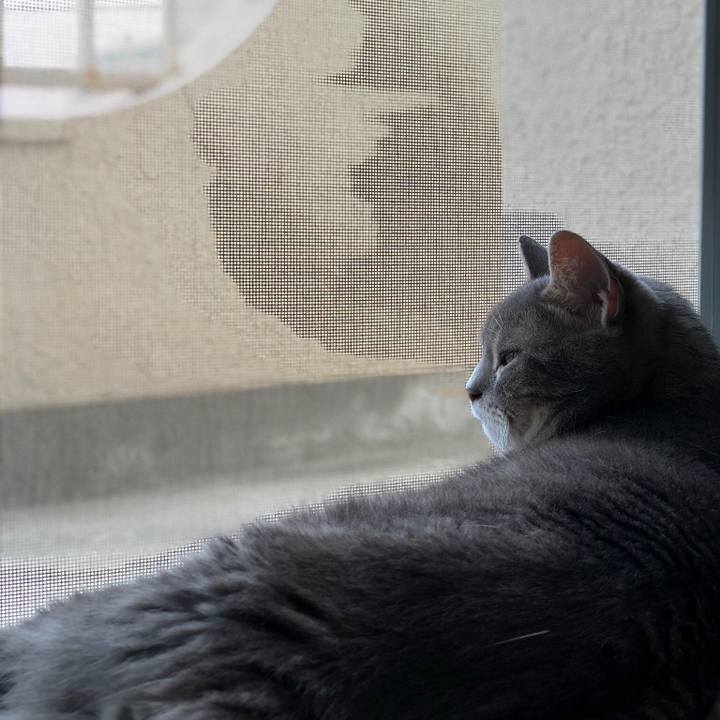 D9de733d 0175 4770 924f 3e521fb9569d 1534071505965