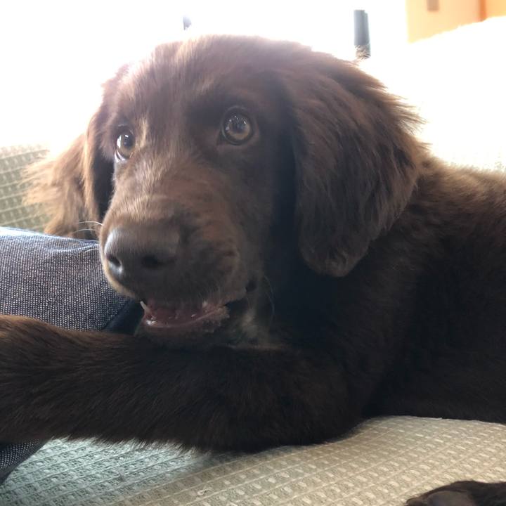 D9de7c2f 146a 4d7c ad88 46e03c3ada7c 1554694900569