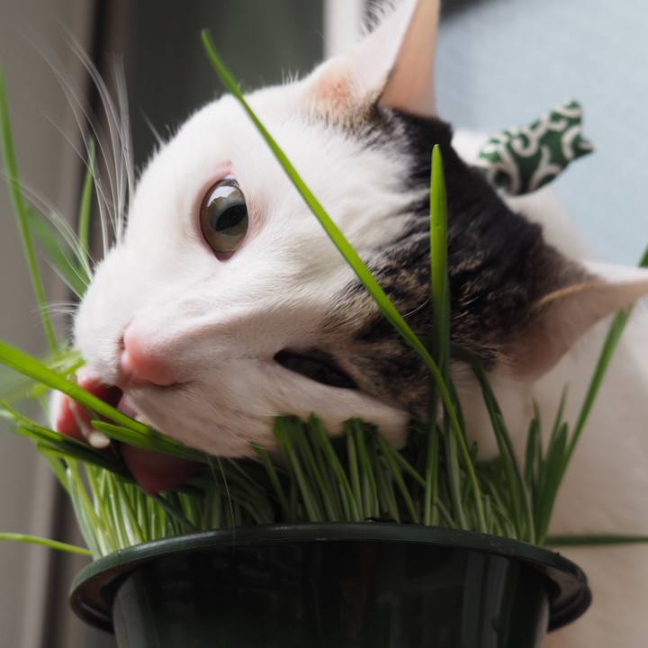 D9de9ace c182 4374 827c 1b4ba5dba89b 1527459376456