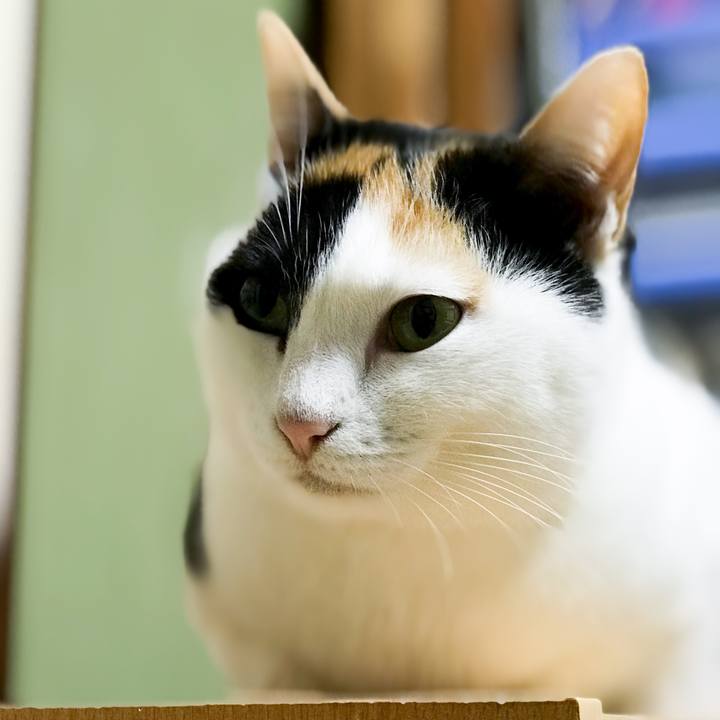 D9dea557 a897 421d 86ba 68db89a4d258 1515888672655