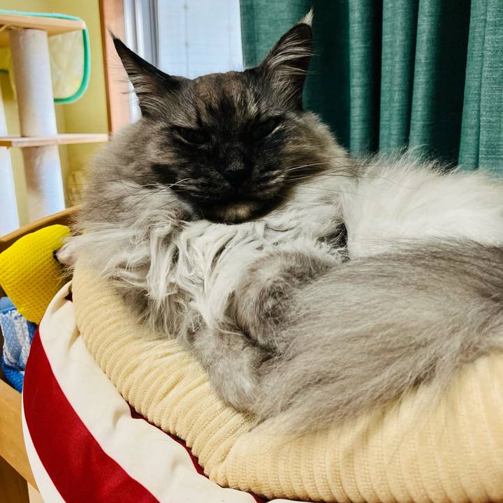 D9dea5bd 33ba 4b3f b562 6a796d259615 1744245707658