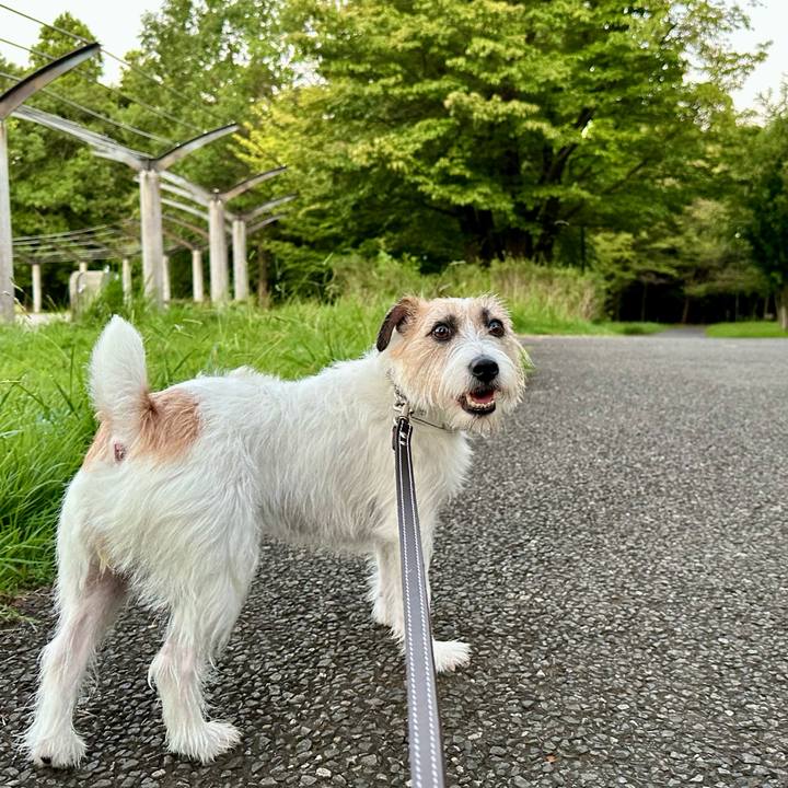 D9debc90 12fc 474e 800b 22a7127e38b0 1726057808556