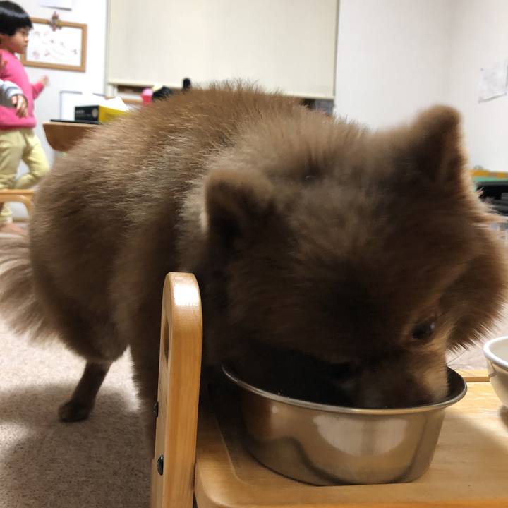 D9deccc4 b770 42d1 9c7e d1029c8039ca 1606205878915