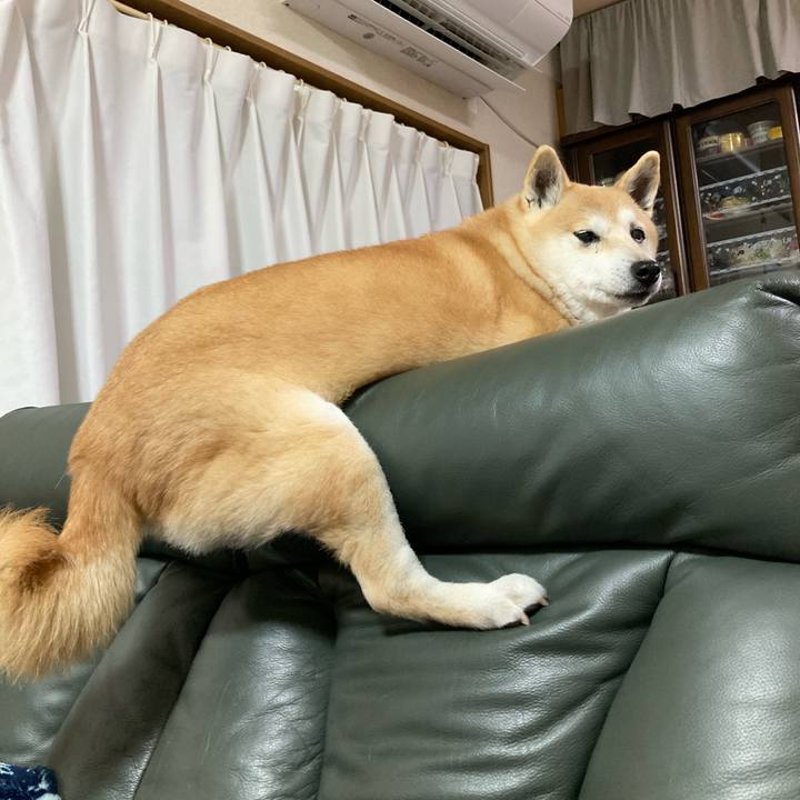 D9dede2e a177 4689 9692 ebf4901bbb24 1615116760892