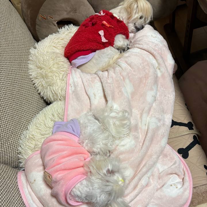 D9df3e5c 5394 4993 aa9d 62e64c07737c 1737026942052