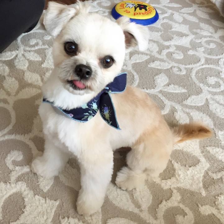 D9df4466 4671 43c1 8389 bedfadef3436 1552114576692