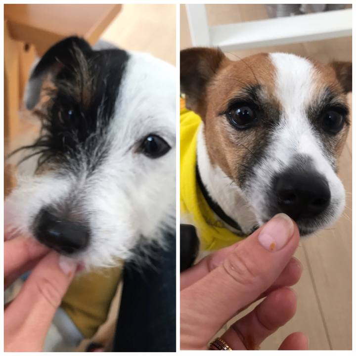 D9dfbb61 1c69 4af1 9ad0 2c2278bd1a18 1543791654831