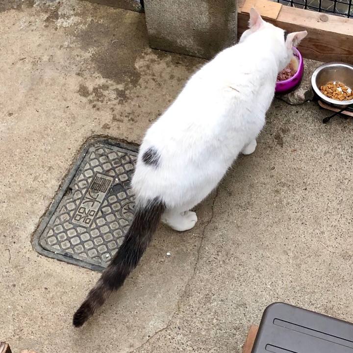 D9dfd0b0 d1bb 4ce9 b27a 2eb8a6e3f0c3 1556925672842