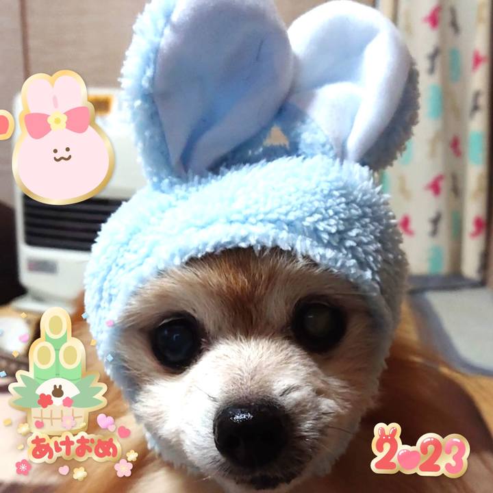 D9dfda15 35e3 4172 8439 c80013c4d652 1672699039881