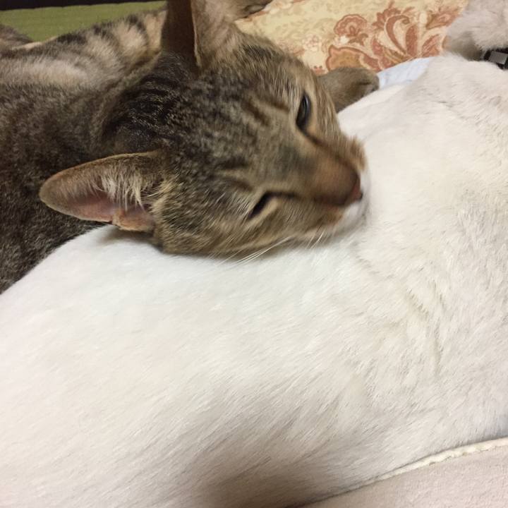 D9dfe2db c772 4e08 bb2a 9aada4feb5f7 1539011469815