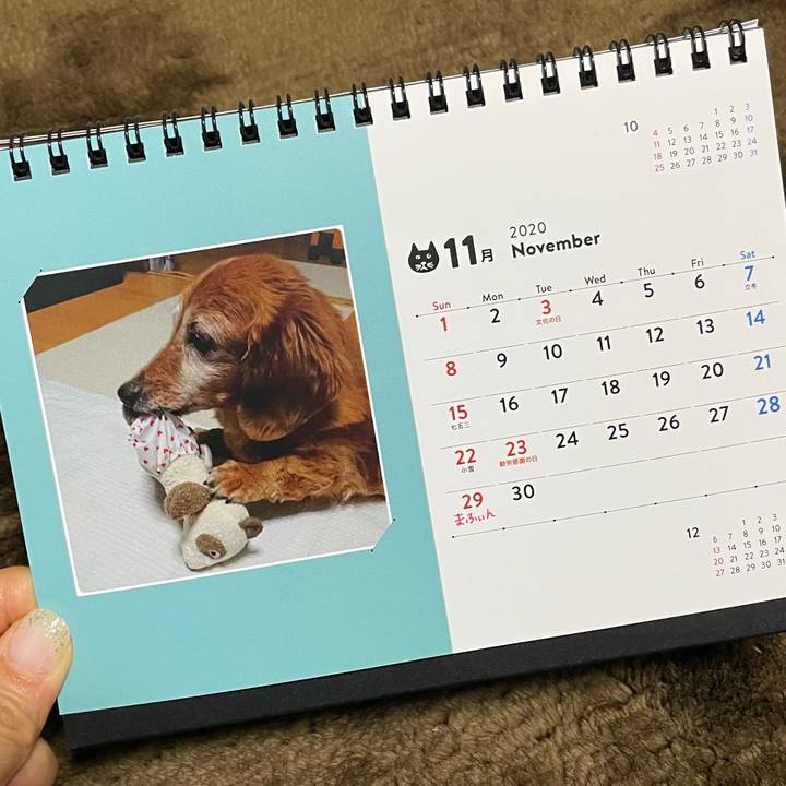 D9e05d8a a1a2 4cee 8fa2 4f8a08a4a610 1604163835702