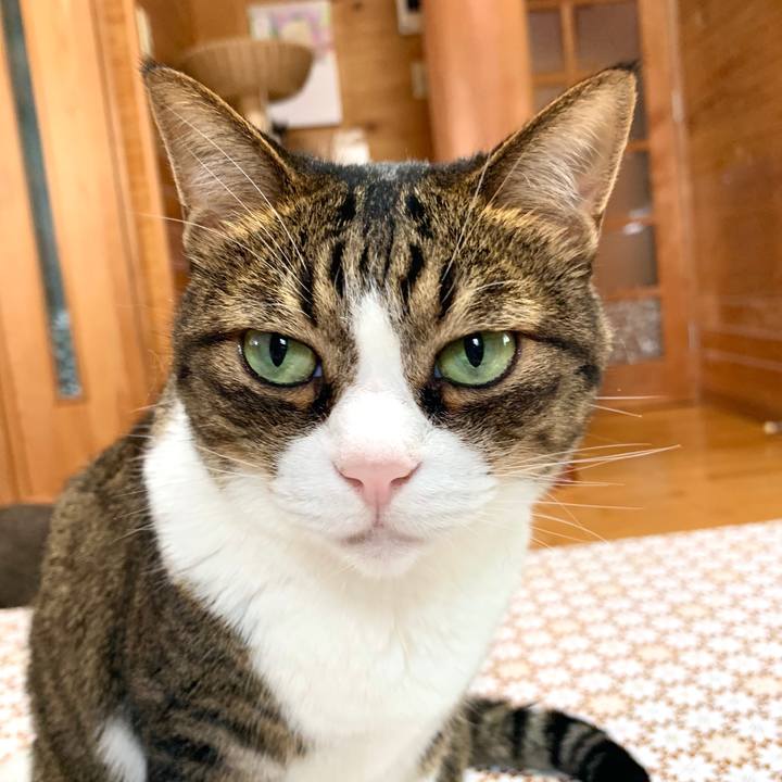 D9e0718f 5817 4b3c b3a1 1f7d84f30c47 1595643139035