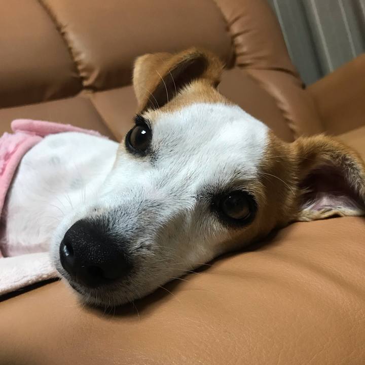 D9e075af a45b 4652 8cc0 85212ca4b4da 1603981811825