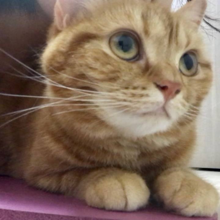 D9e08555 309d 4fd3 bdf8 4c4effc08a11 1527080184522