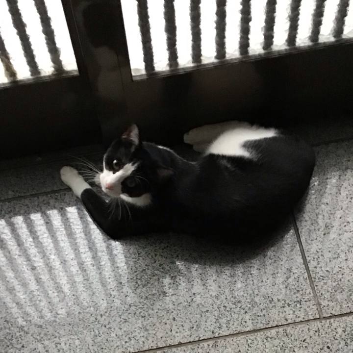 D9e0a836 d4bd 4bb7 b4a2 296a0255e4d2 1649902195519