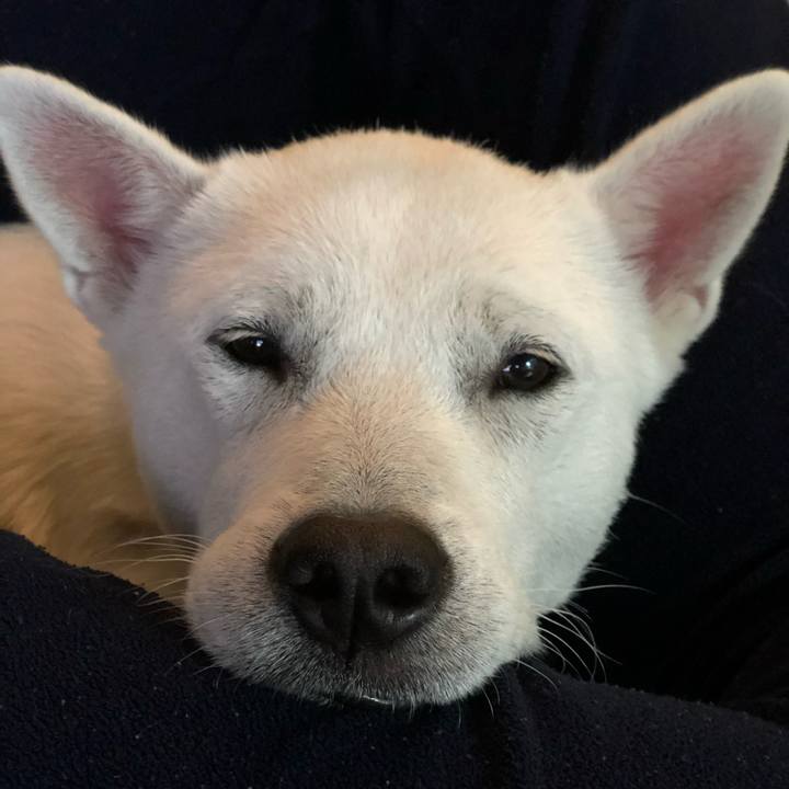 D9e0b0c7 874c 4dab a40d 01386ca4d8bb 1540818208832