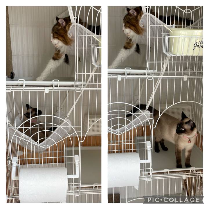 D9e0d310 0b92 4548 b595 072c9c93c845 1714267284615