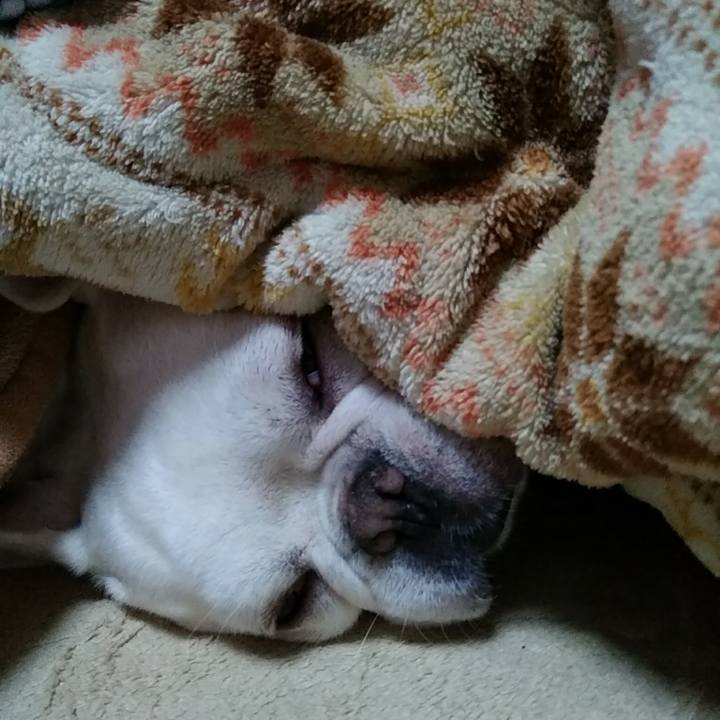 D9e0e3a1 352b 4cdc b636 8664acd27512 1582209508309