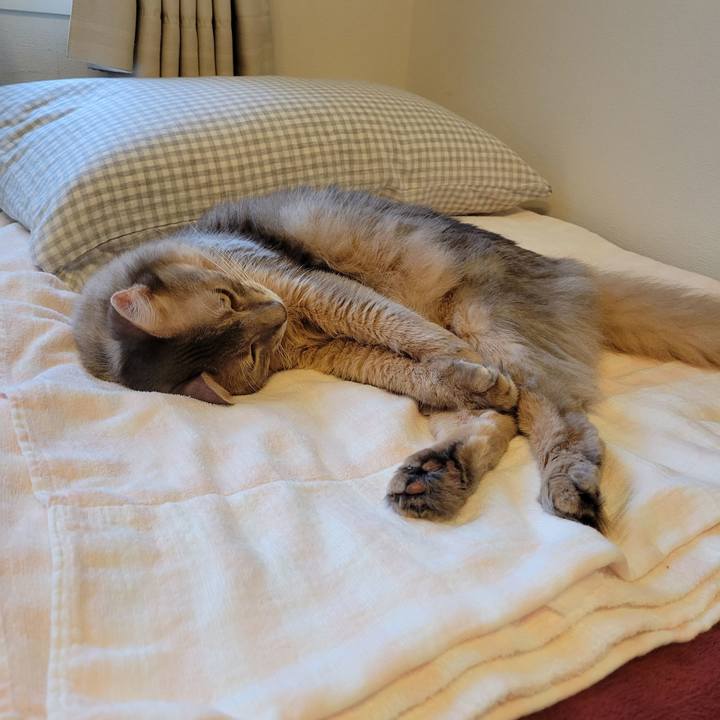 D9e0ffaf a5a8 4430 a3d2 30f041e4c1c9 1631156645895