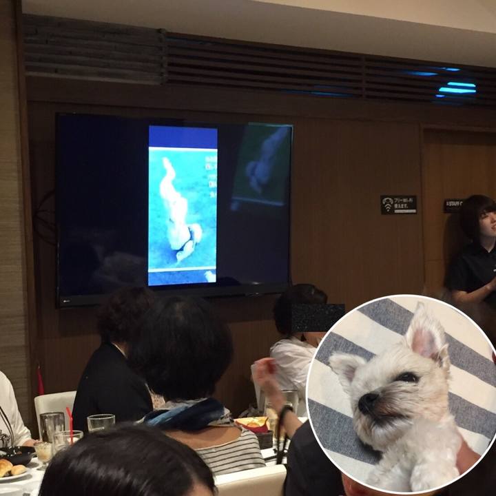 D9e1842f 9351 4ed2 85e3 ff69644afaa6 1537135072584