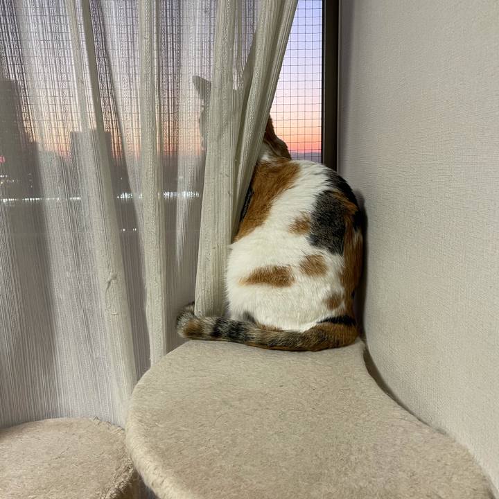 D9e1e724 ac0c 4e43 85f4 8ef4253259c3 1608639376563