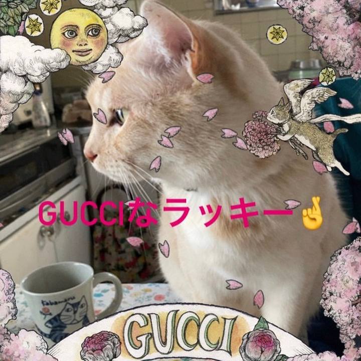 D9e21e3e 9f9e 42df 9059 ba92efeea2e1 1678266988188