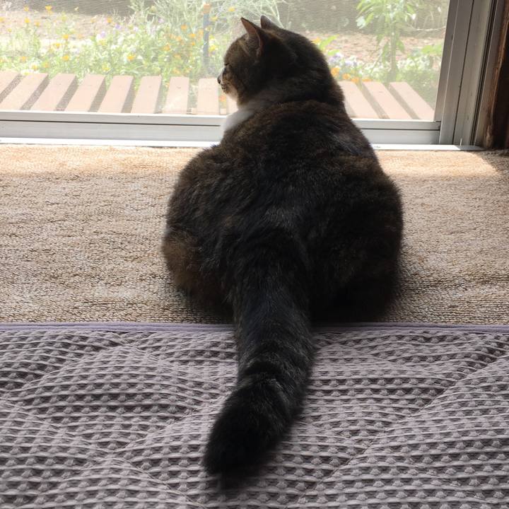 D9e2345b 6250 4668 87ec f70bdf300d88 1527210357426