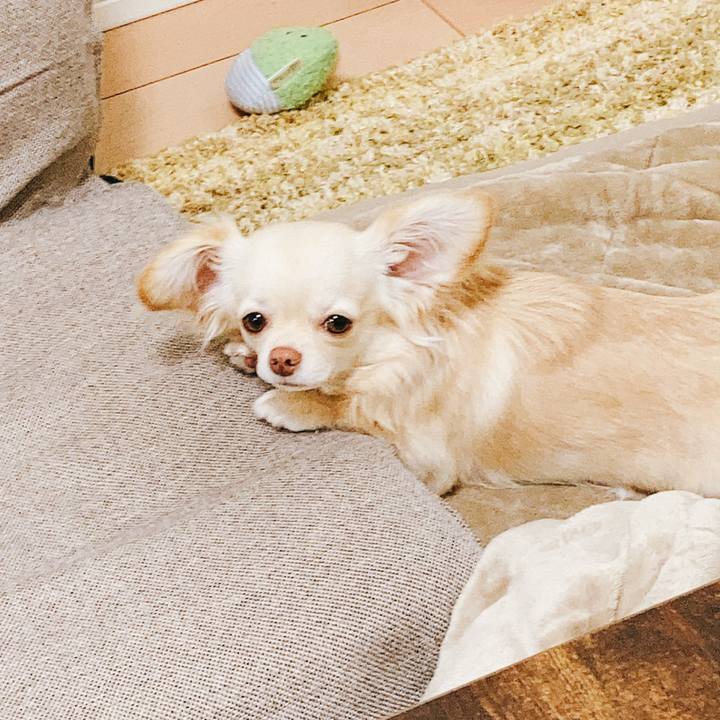 D9e24d5e daf7 408b 8ee5 9cdee7107afd 1617189339327