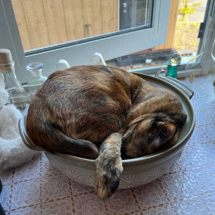 D9e29b54 0c6d 4f68 980c 13f03448350a 1689029065559