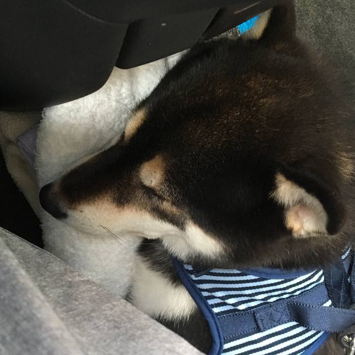 D9e2dfb6 226b 4657 ae9c fb080e631575 1539248639051