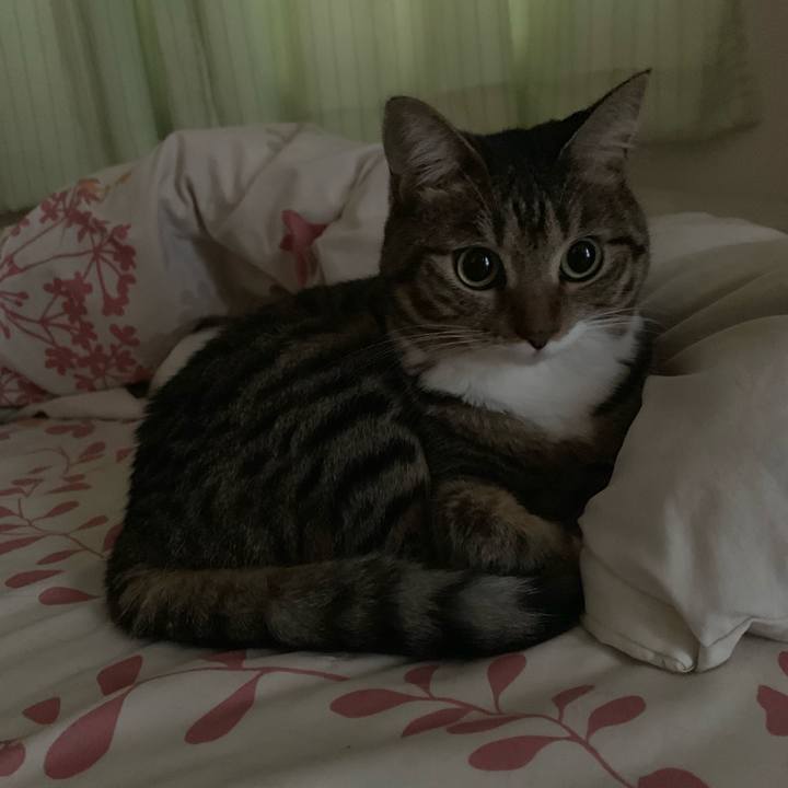 D9e2ef0f 6a3a 442c a7ed 857a85c32f25 1571410831970