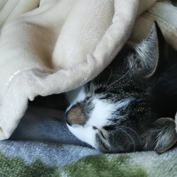 D9e2f98e 01c6 48ef 806d 165077b91168 1608039278633