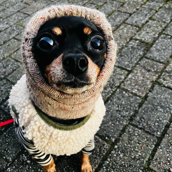 D9e31605 c3e5 42a7 9de5 6e6f9adf570a 1734443590092