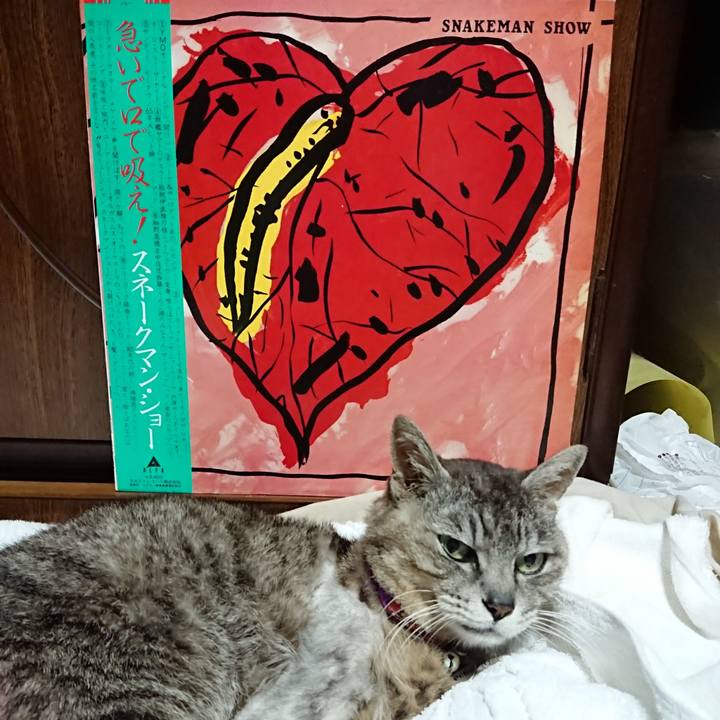 D9e31c1b fa97 4da0 81c3 07436446209f 1592221091995