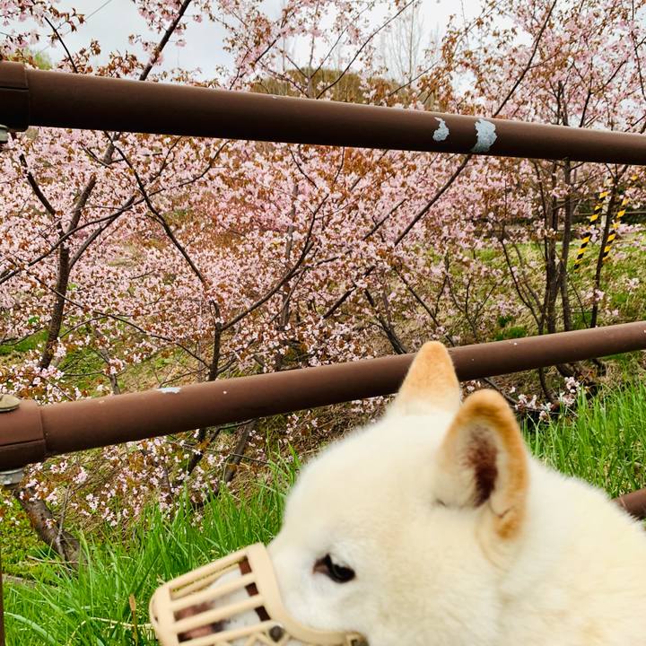 D9e36050 ff13 4dc6 ab8c 744532643f1f 1619903968364