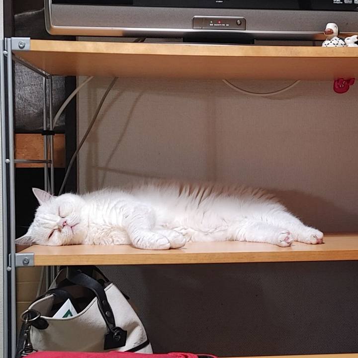 D9e3668d b730 4a50 ac2f 0af1bf97ac15 1630331205954