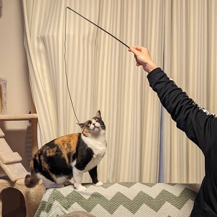 D9e36c1b f332 47df a5ac 7b8143dfe4d6 1715215791859