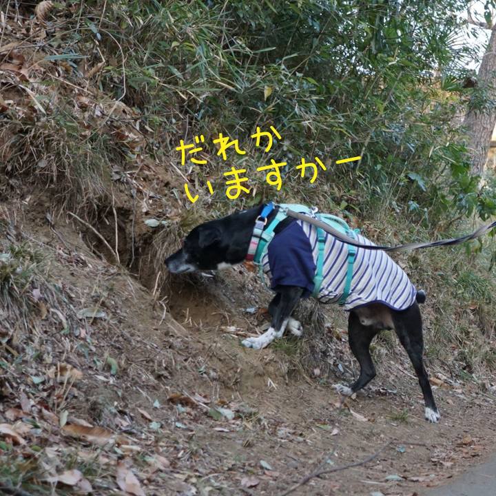 D9e384ad 921c 4915 85ba 2edcd7082e09 1769731701508