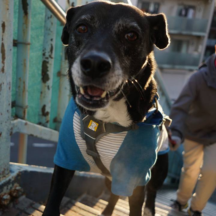 D9e38bc2 9245 4885 91e7 7e1085473442 1767056608918