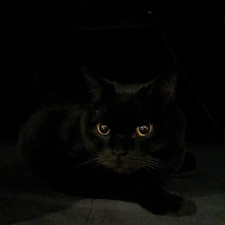 D9e3a030 3135 49f8 a7f1 7f4363c4765f 1580033769684