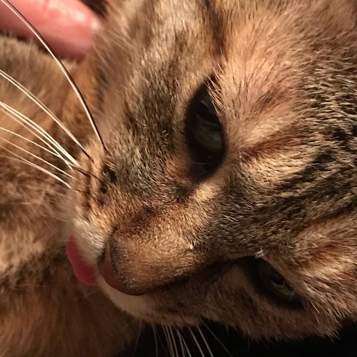 D9e3a729 1387 48d0 b166 38d2582ff3ec 1585998557975