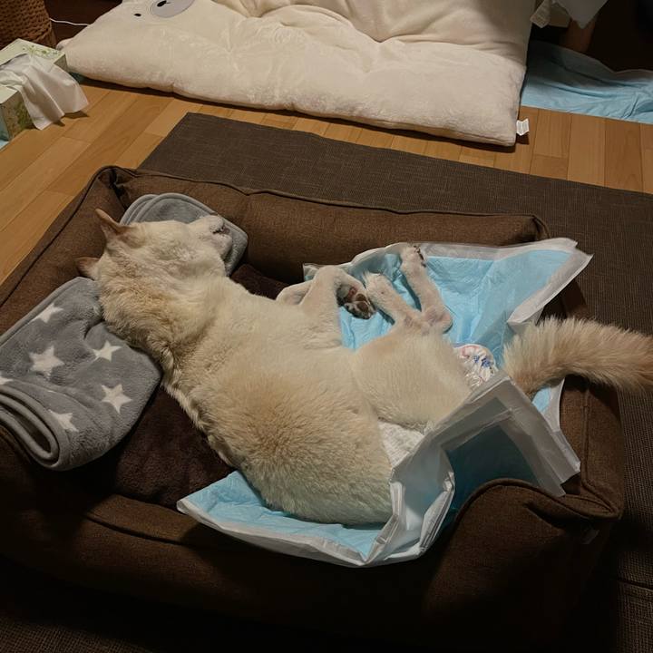 D9e3a835 491f 4703 97dc 1996360abb24 1666188146490