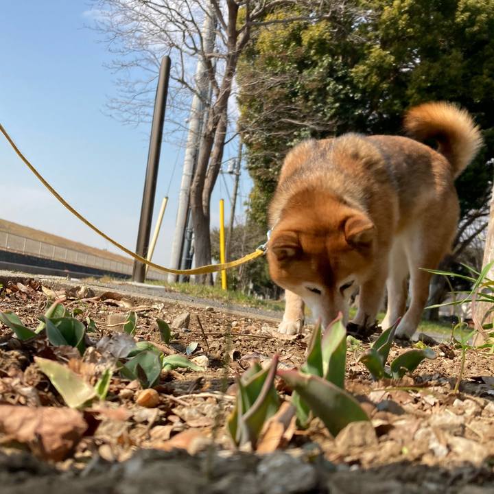 D9e3fcf6 971d 4665 97ee dcf4fa2b9fd8 1646109063953