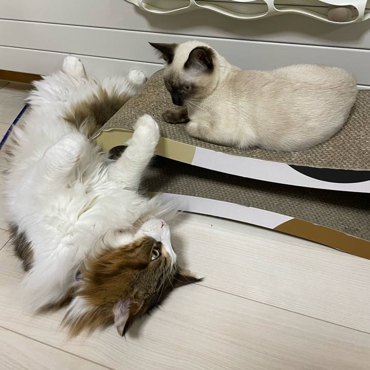 D9e40270 5b7a 4240 805d b8e70f4019a3 1698606863895