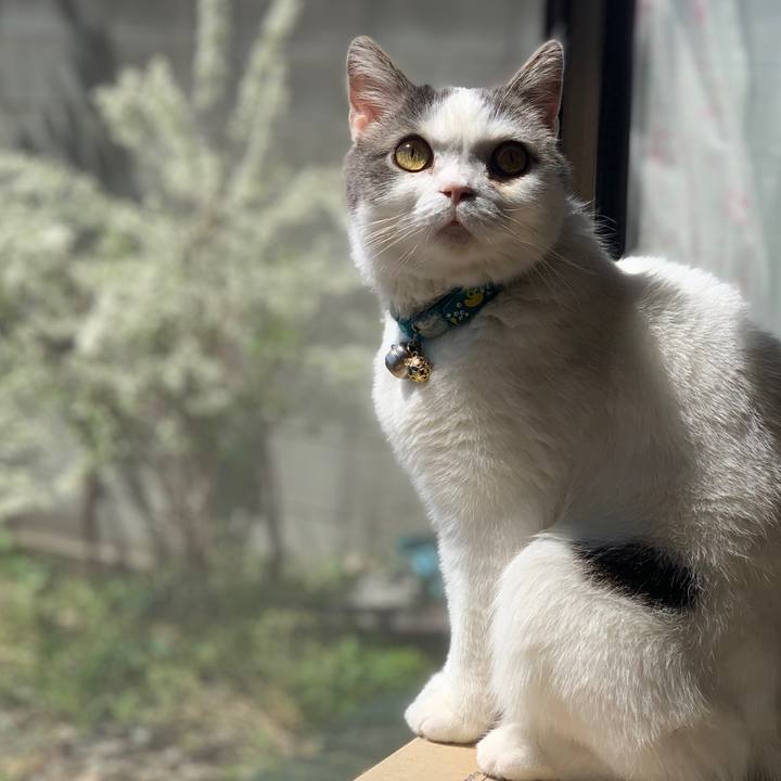 D9e41342 e79d 4342 8455 5518dfca26c0 1650159135982